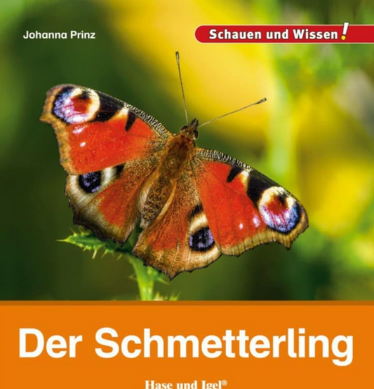 Auf der Wiese: Buchtipp - Der Schmetterling