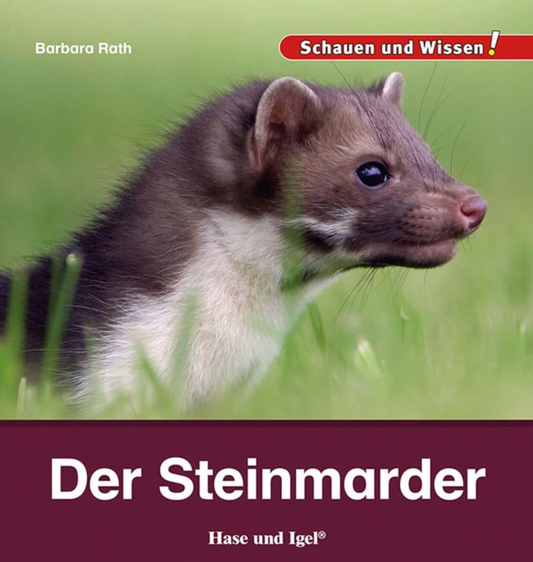 Auf der Wiese: Buchtipp - Steinmarder