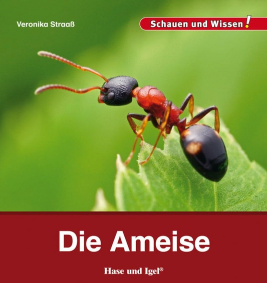 Auf der Wiese: Buchtipp - Die Ameise