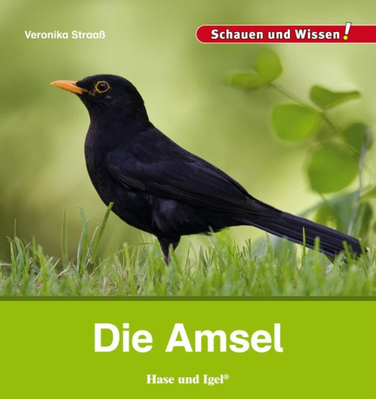 Auf der Wiese: Buchtipp - Die Amsel