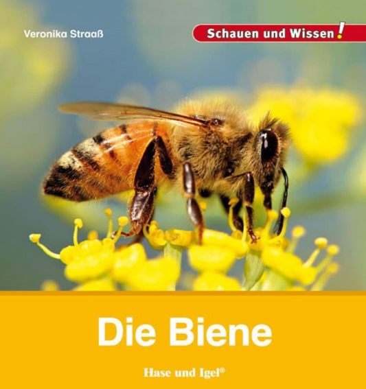 Auf der Wiese: Buchtipp - Die Biene