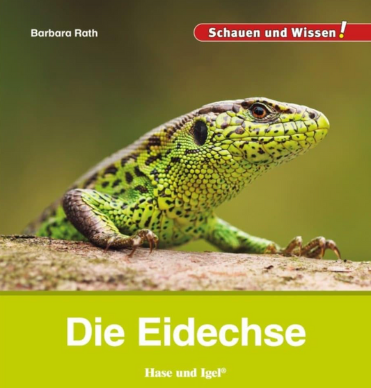 Auf der Wiese: Buchtipp - Die Eidechse