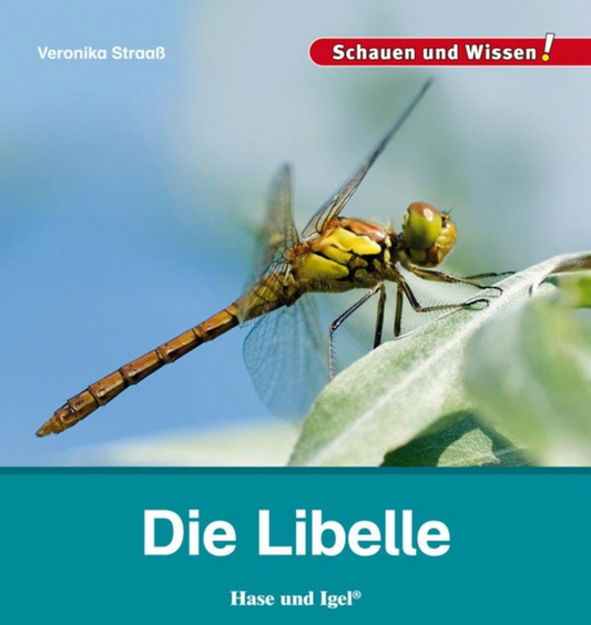 Auf der Wiese: Buchtipp - Libelle