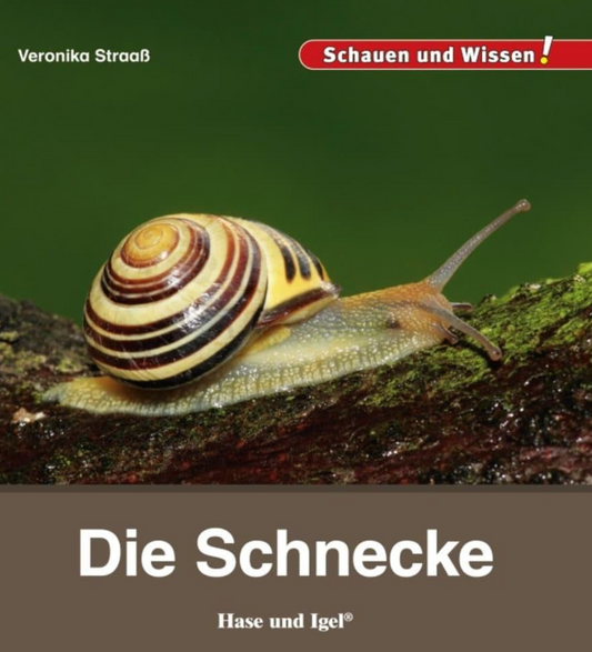 Auf der Wiese: Buchtipp - Die Schnecke