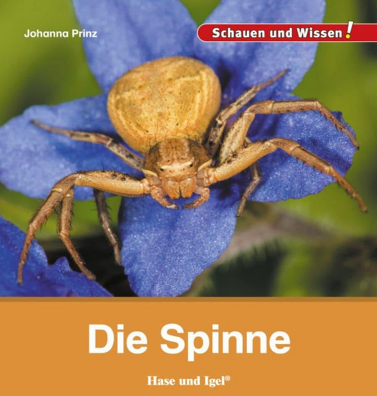 Auf der Wiese: Buchtipp - Die Spinne