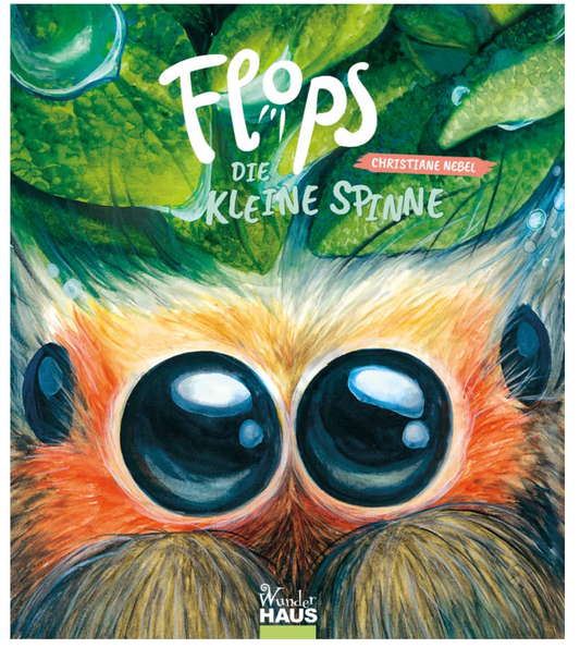 Auf der Wiese: Buchtipp - Flops, die kleine Spinne