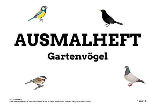 Gartenvögel kennenlernen - Ein Ausmalheft