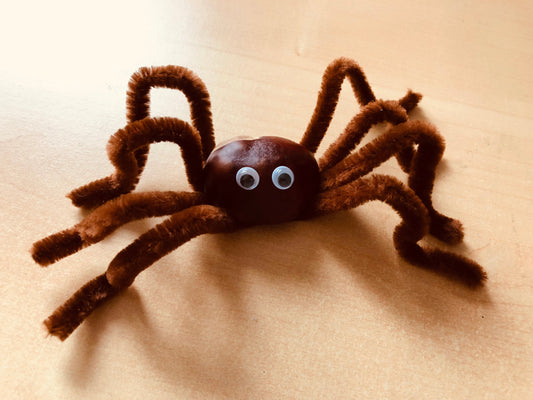 Herbst: Basteln mit Kastanien-eine Spinne