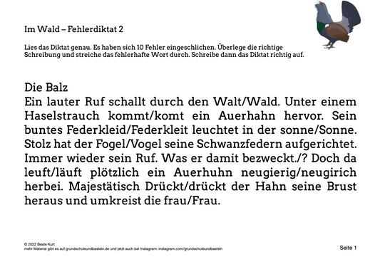 Im Wald: Fehlerdiktate bearbeiten 2