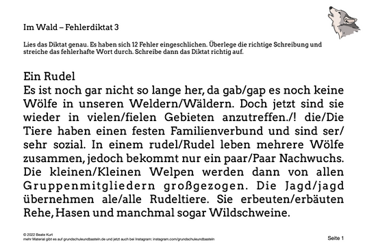 Im Wald: Fehlerdiktate bearbeiten 3