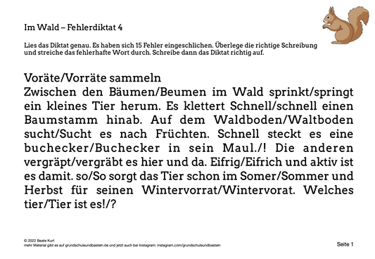 Im Wald: Fehlerdiktate bearbeiten 4