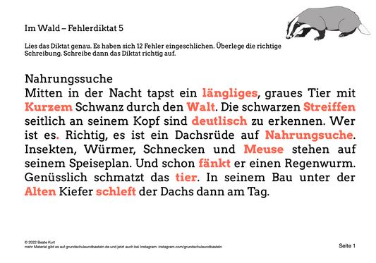 Im Wald: Fehlerdiktate bearbeiten 5