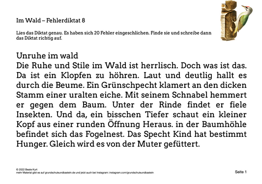 Im Wald: Ein Fehlerdiktat bearbeiten 8