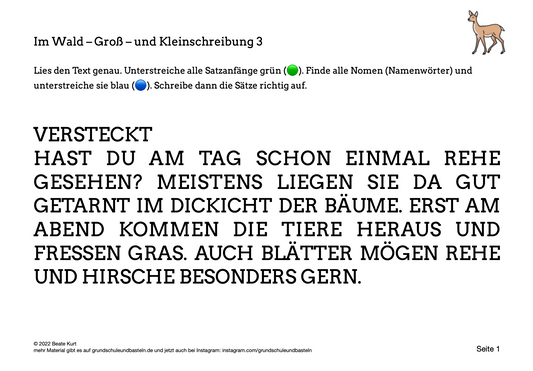 Im Wald: Groß- und Kleinschreibung üben 3