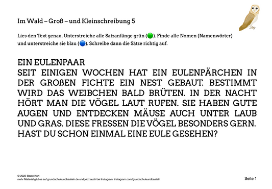 Im Wald: Groß- und Kleinschreibung üben 5