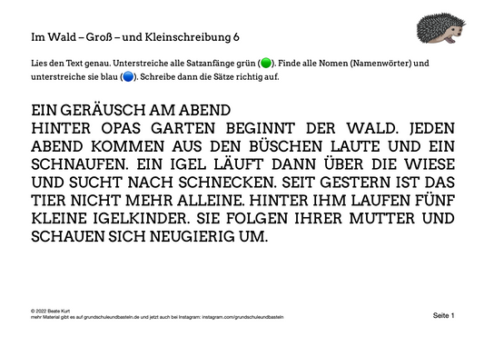 Im Wald: Groß- und Kleinschreibung üben 6