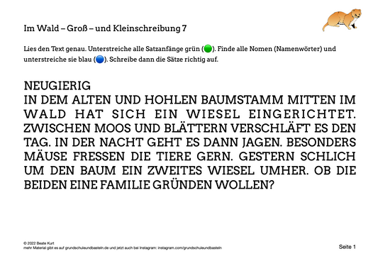 Im Wald: Groß- und Kleinschreibung üben 7