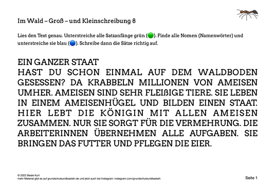 Im Wald: Groß- und Kleinschreibung üben 8