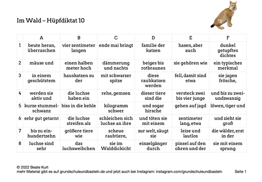 Im Wald: Ein Hüpfdiktat lösen 10