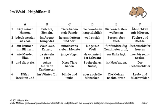 Im Wald: Ein Hüpfdiktat lösen 11