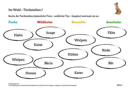 Im Wald: Waldtiere – Tierfamilien 1