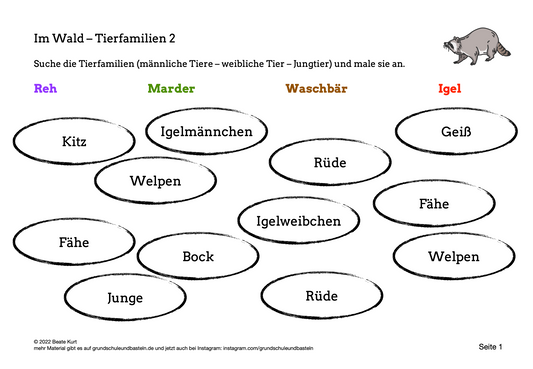 Im Wald: Waldtiere – Tierfamilien 2
