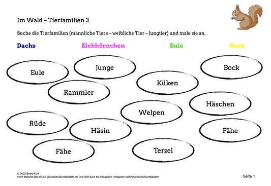 Im Wald: Waldtiere – Tierfamilien 3