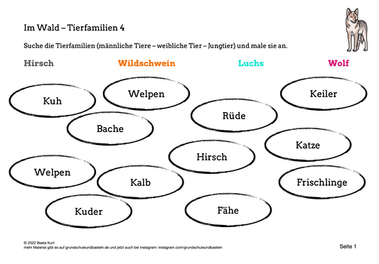 Im Wald: Tierfamilien kennenlernen 4