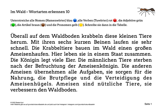 Im Wald: Wortarten erkennen 10