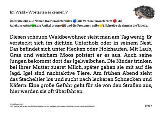 Im Wald: Wortarten erkennen 9
