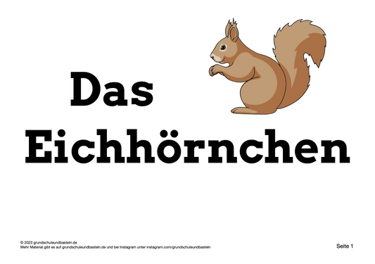 Mit Lernheften selbstständig lernen: Das Eichhörnchen