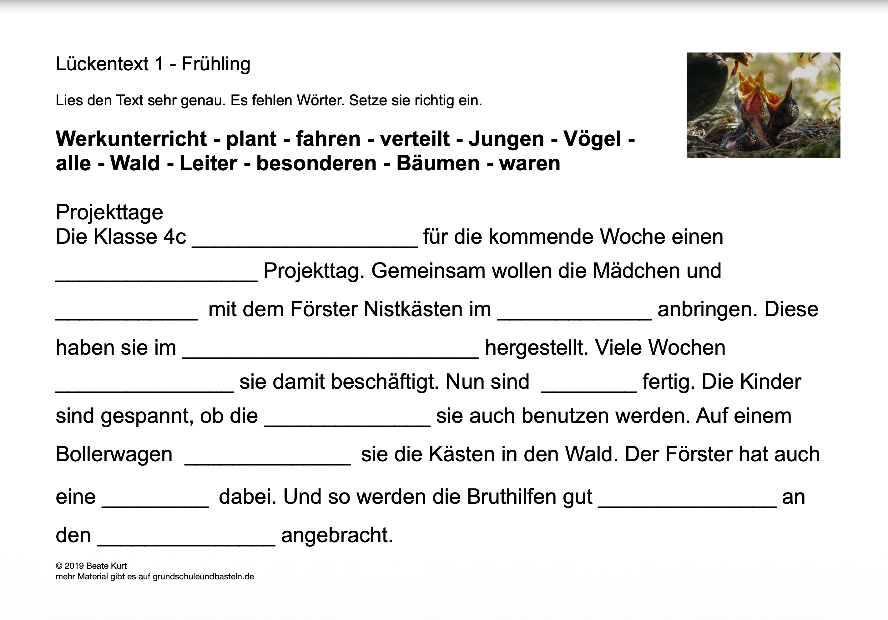 Im Frühling: Lückentexte für Klasse 4 – grundschuleundbasteln.de