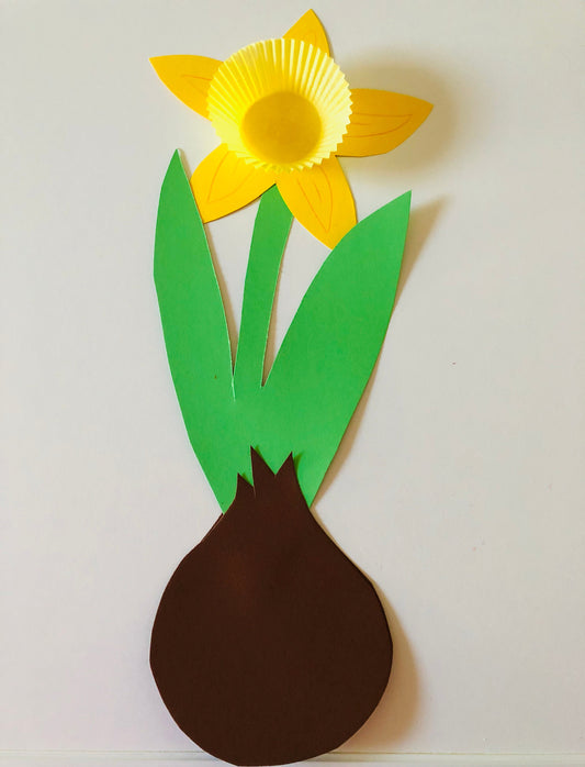 Im Frühling: Osterglocken
