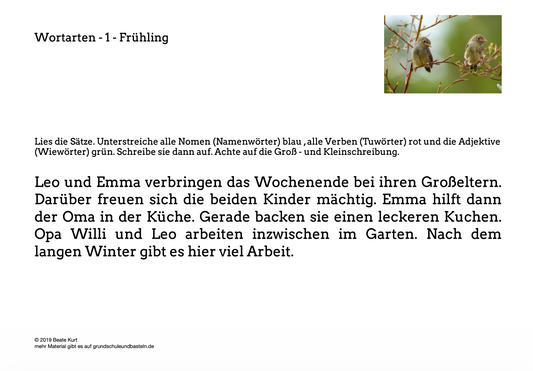 Im Frühling: Wortarten erkennen in Klasse 3