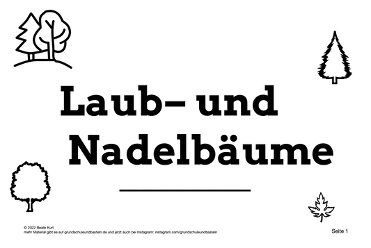 Lernheft: Meine Laub - und Nadelbäume