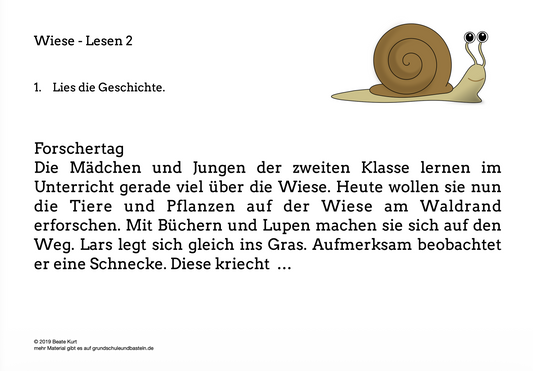Auf der Wiese: Lesen und Verstehen 2
