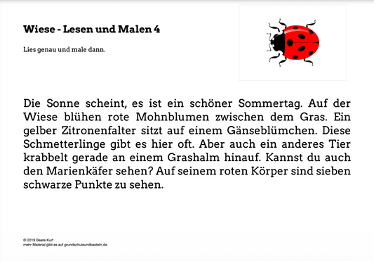Auf der Wiese: Lesen und Malen 4
