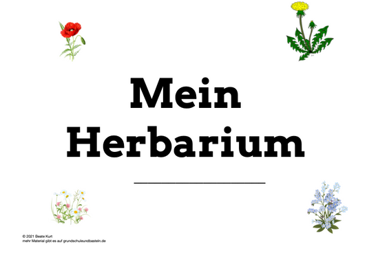Blumen, Gräser, Kräuter der Wiese – ein Herbarium gestalten
