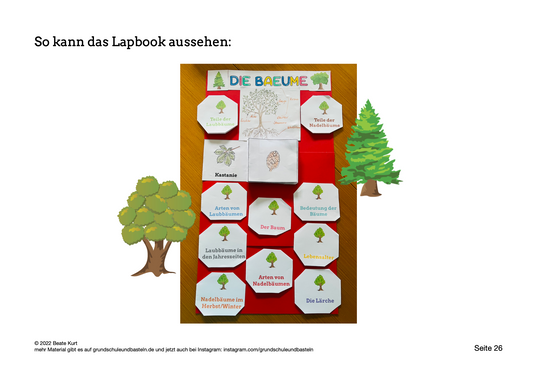 Thema Bäume – ein Lapbook