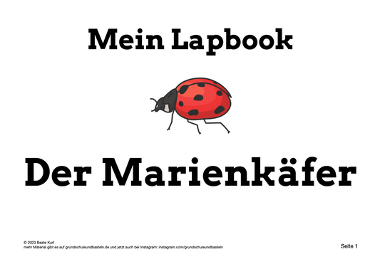 Der Marienkäfer – ein Lapbook gestalten