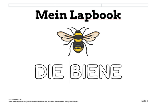 Die Biene – ein Lapbook gestalten