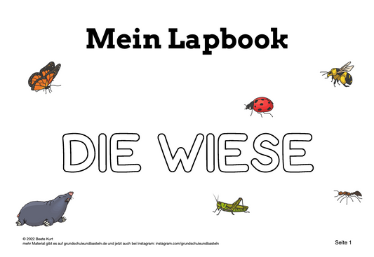 Auf der Wiese: Lapbook Wiese