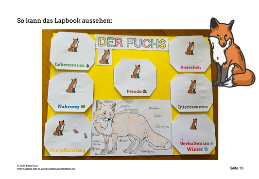 Tiere genauer kennenlernen – Lapbooks gestalten