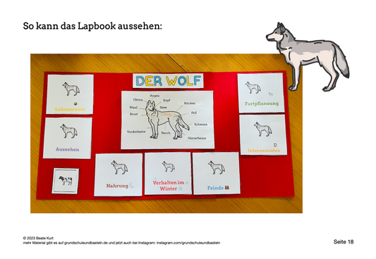 Lapbooks in der Grundschule