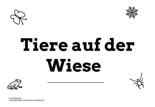 Auf der Wiese: Mit einem Lernheft Wiesentiere kennenlernen