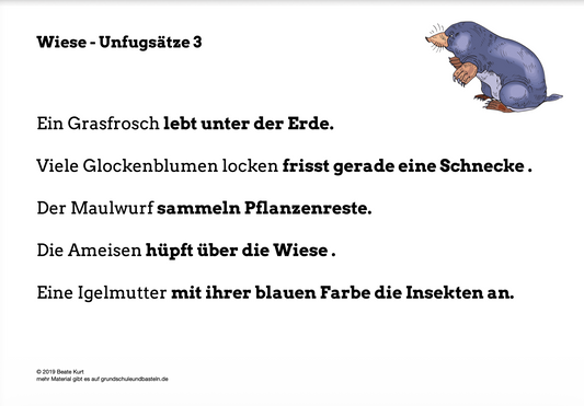 Auf der Wiese: Unfugsätze lesen und bearbeiten - 3