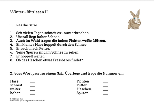 Im Winter: Blitzlesen 2