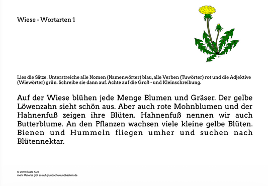 Auf der Wiese: Wortarten üben in Klasse 3