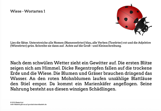 Auf der Wiese: Wortarten üben in Klasse 4