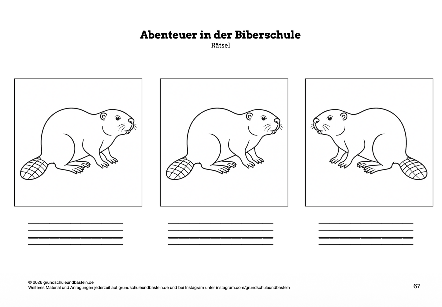 Begleitmaterial: Abenteuer in der Biberschule